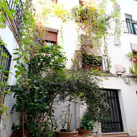 Lucano Centro Cordoba